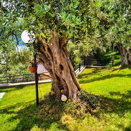 Celeste Deluxe Apartments 4*